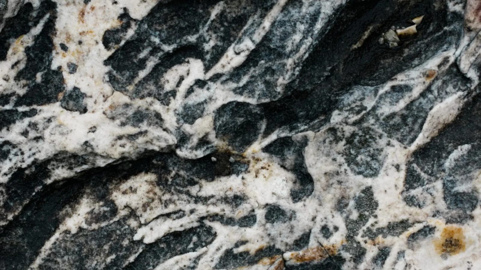 Call Us for Granite Tile Services in Atlanta Don’t let scratches, dullness, or damage diminish the elegance of your granite tiles. Trust Cleaner Image Marble to restore their beauty and functionality with our expert services. 📞 Contact us today or request a free estimate online to learn more about our granite tile restoration services. We proudly serve clients throughout the Atlanta metro area and look forward to helping you!